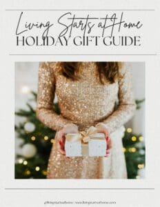 2025 Holiday Gift Guide 